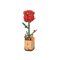 ROBOTIME Red Rose TW042 – kuva 1