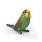 Schleich Budgie – kuva 2