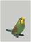 Schleich Budgie – kuva 3