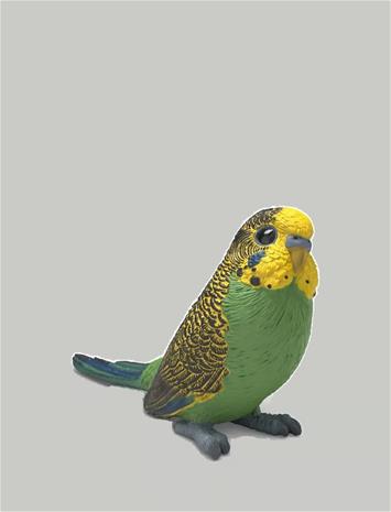 Schleich Budgie