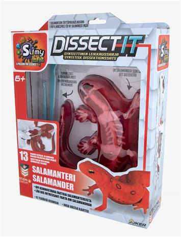 Dissect It Science Kit Salamander