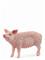 Schleich Sika – kuva 5