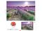 Educa 1000 Bike In A Lavender Field – kuva 7