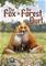 The Fox in the Forest, lautapeli – kuva 6