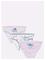LILO & STITCH Panties - BOX3 - 110/116 – kuva 2