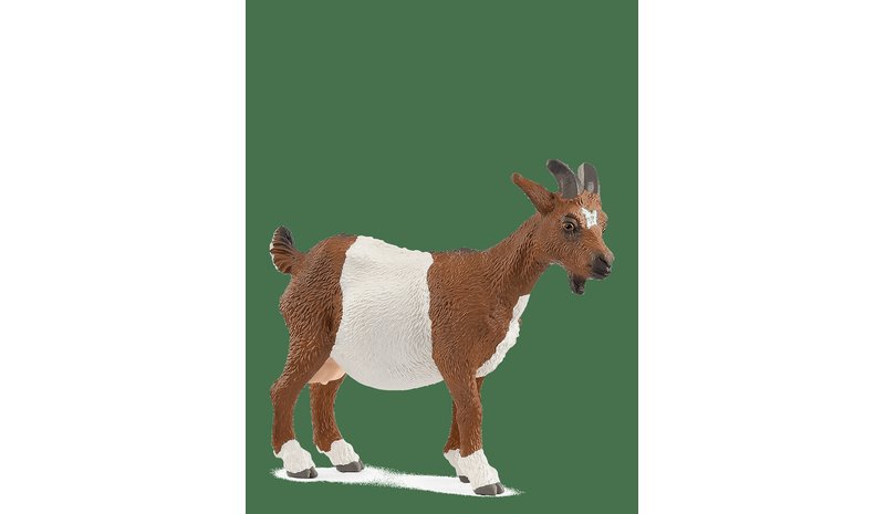 SCHLEICH Schleich Goat - MUTI - One Size – kuva 1/2