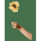 STUDIO ABOUT Paper Flower, Papaver, Soft Peach - SOFT PEACH - 12X40 cm