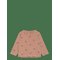 THE NEW Tnshimo L_S Tee - GINGER SNAP - 80 – kuva 1