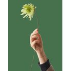 STUDIO ABOUT Paper Flower - GREEN - L:37.0 cm