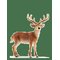SCHLEICH Schleich White-Tailed Buck - MULTI - One Size – kuva 1