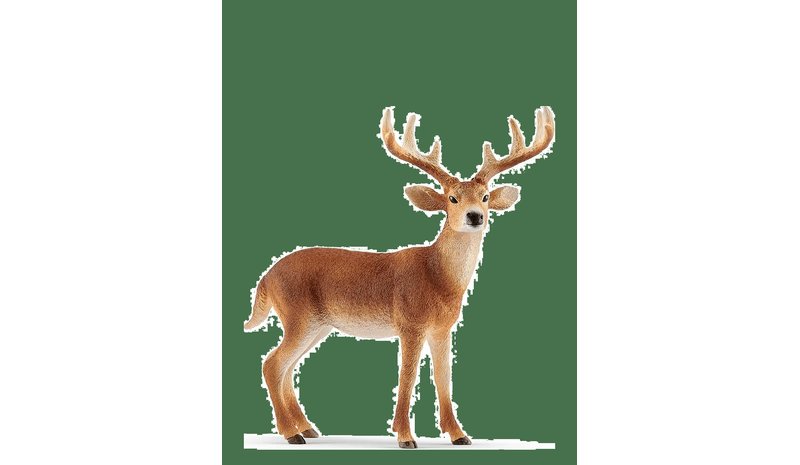 SCHLEICH Schleich White-Tailed Buck - MULTI - One Size – kuva 1/2