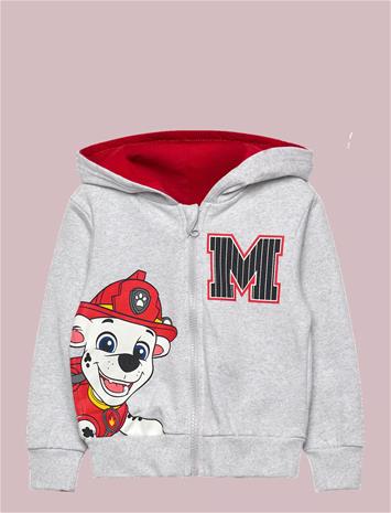 PAW PATROL Sweats - LGREY - 110 – kuva 2/4