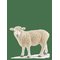 SCHLEICH Schleich Sheep - MULTI - One Size – kuva 1