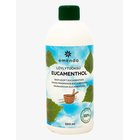 EMENDO Sauna Fragrance Eucamenthol - BLUE - 500 ml