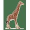 SCHLEICH Schleich Giraffe Male - MULTI - One Size – kuva 1