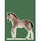 SCHLEICH Schleich Andalusian Foal - MULTI - One Size – kuva 1