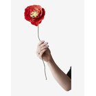 STUDIO ABOUT Paper Flower, Ice Poppy - BRIGHT RED - L:44 cm