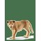 SCHLEICH Schleich Lioness - MULTI - One Size – kuva 1