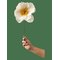 STUDIO ABOUT Paper Flower - TRUE - One Size – kuva 1