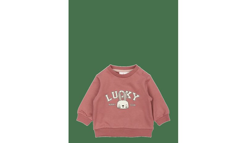 THE NEW Tnsbpheba Sweatshirt - WITHERED ROSE - 56 – kuva 1/2