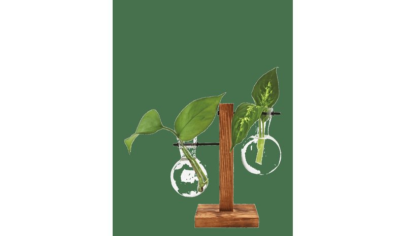 WINKEE Hydro Vases Fleur - BROWN - H8 cm – kuva 1/2