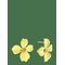 BY JOLIMA Lilly Earring - YELLOW - One Size – kuva 1