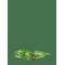 TEDDY HERMANN Snake Green Patterned 175 Cm - GREEN - 175 cm – kuva 1