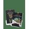 MARVIN'S MAGIC Colouring Book - Wildlife - MULTI - One Size – kuva 1