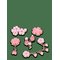 CROCS Blooming Cherry Blossom 5 Pack - WHITE - One Size – kuva 1