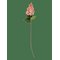 BLOOMINGVILLE Hydrangea Stem - RED - H76 cm – kuva 1