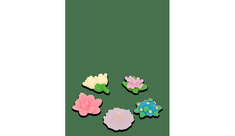 CROCS Beaded Flowers 5 Pack - WHITE - One Size – kuva 1/2