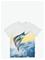 MOLO Roxo - SAILFISH - 104 – kuva 1