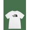 THE NORTH FACE Teen Evolution Half Dome Ss Tee - TNF WHITE - S – kuva 1