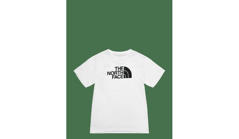 THE NORTH FACE Teen Evolution Half Dome Ss Tee - TNF WHITE - S – kuva 1/2