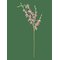 BLOOMINGVILLE Orchid Stem - RED - H109 cm – kuva 1