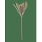 BLOOMINGVILLE Palmflower Stem - BROWN - H72 cm – kuva 1