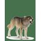 SCHLEICH Schleich Wolf - MULTI - One Size – kuva 1