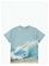 MOLO Riley - BLUISH SURFER - 128 – kuva 1