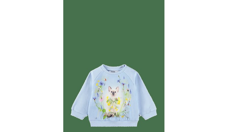 MOLO Disc - MEADOW KITTEN - 68 – kuva 1/2