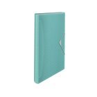 Esselte Colour'Breeze Kokouskansio 62625