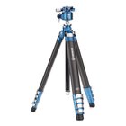Benro TCBC25G36PT