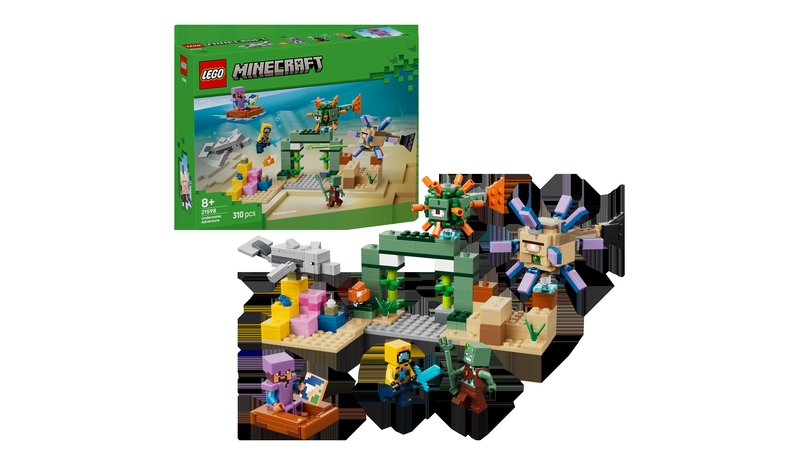 LEGO 21598