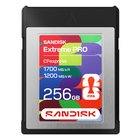 SanDisk SDCFE-256G-GF4NN