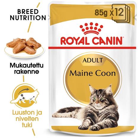 Royal Canin Maine Coon 85g, 48-pack