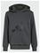 ADIDAS SPORTSWEAR J Bl Ft Hd 280 - GRESIX/BLACK - 152 – kuva 1