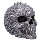Nemesis: Skull - Scaled Remains (15.4cm) KOTIIN