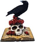 Nemesis: Black Raven - Heartaches Reflection (17cm) KOTIIN
