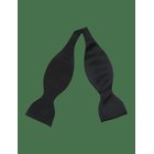 PORTIA 1924 Polyester Butterfly - BLACK - One Size
