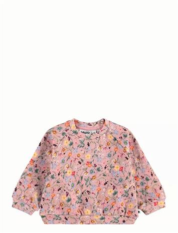 MOLO Disc - DELICATE MINI - 98 – kuva 1/2