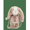 MANGO Bunny Handbag - LT PASTEL BROWN - One Size – kuva 1